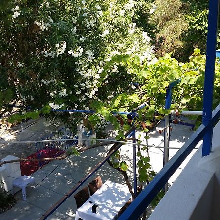 Deniz Yildizi Acomodação com café da manhã Fethiye Exterior foto